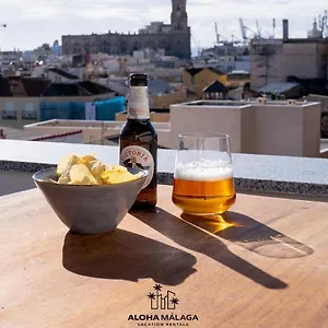 Luxury Duplex With Pool And Padel Court In Town Málaga